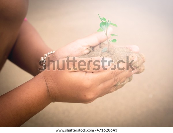 hand holding a plant, giving meaning of\
environmental\
stewardship\
\
