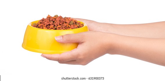 hand holding plastic bowl full with dog food isolated on white background