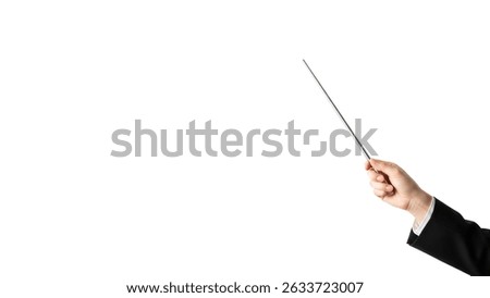 Hand Holding a Pointer Stick on White Background