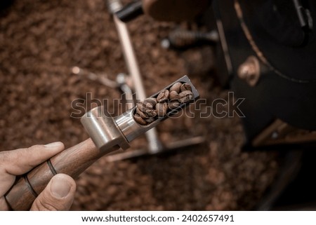 hand holding a probe of freshly roasted coffee beans in vintage color tone