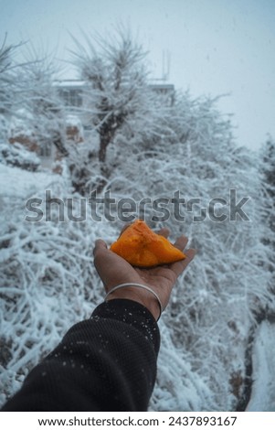 Hand holding pumpkin slice  during winter in a village in the Kullu region of Himachal Pradesh.
pumpkins are commonly eaten by Himalayan people during winter season.
