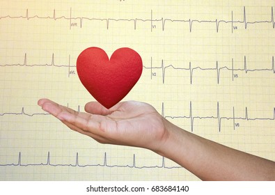 Hand Holding  Red Heart On Echo Cardiogram Graph Background.