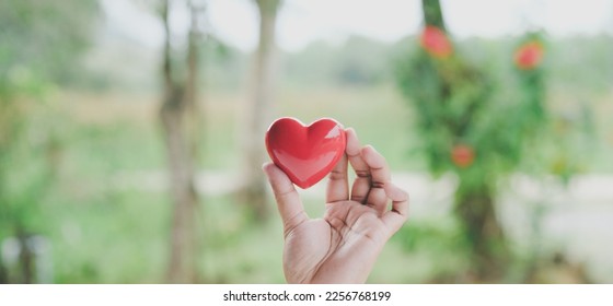 Hand holding red heart, World health day, Health care and mental health concept, Health insurance, Charity volunteer donation, CSR responsibility, World heart day, Self love - Shutterstock ID 2256768199