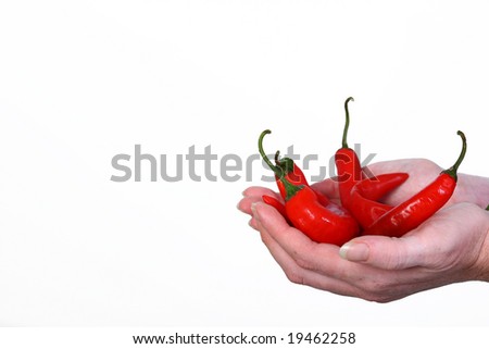 Hand holding red hot chilli peppers