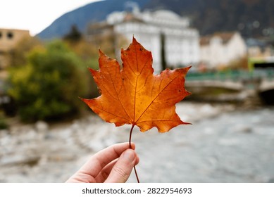 Hand holding a red maple leaf, picturesque Canadian landscape with a river and mountains.