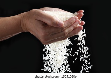 Hand Holding Rice Grain Isolated On Black Background.