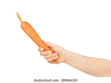 Hand Holding Ripe Carrots. Isolated On A White Background