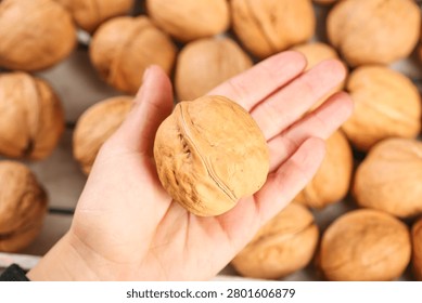 Hand holding single walnut in shell over background of roasted walnuts, showcasing natural organic nuts with textured shells and creamy kernels inside