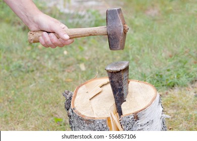 Hand holding a sledgehammer, hit a wedge to split a birch log