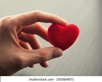 Hand Holding Small Bright Red Heart On Grey Background