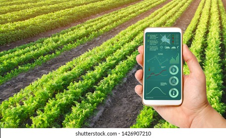 Smart Farming Argriculture Concept Hands Holding Stock Photo (Edit Now ...