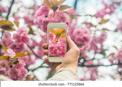 121,152 Flower photograph Images, Stock Photos & Vectors | Shutterstock