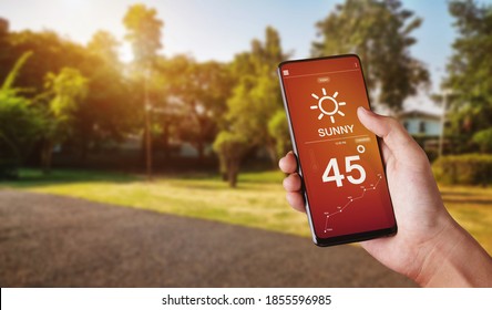 Hand Holding Smartphone With Weather Hot Sunny Day On Screen And Sunrise On Morning At Park Background.