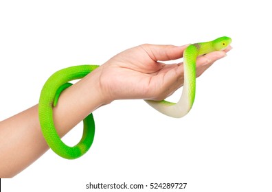 1,260 Rubber snake Images, Stock Photos & Vectors | Shutterstock