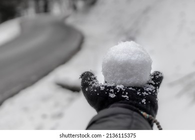 Hand holding a snowball in the winter.
