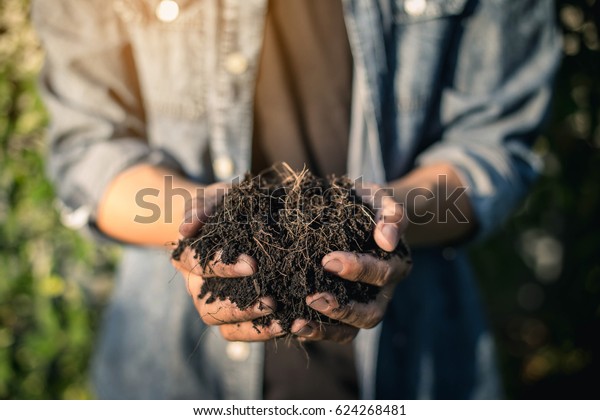 Hand holding soil,Hand dirty with\
soil.  Hands holding soil in agricultural field.\
