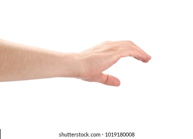 Woman Presenting Her Hand On White Stock Photo (Edit Now) 279319061