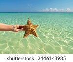 Hand holding starfish against a green colored sea and blue sky, Bavaro Beach, Punta Cana, Dominican Republic, West Indies, Caribbean, Central America