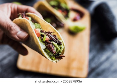 hand holding tacos de chapulines or grasshopper taco traditional in mexican food with homemade guacamole sauce in Oaxaca Mexico - Powered by Shutterstock