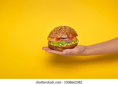Hand holding tasty beef burger 
