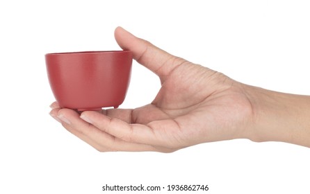 Hand Holding Tea Cup Isolated On A White Background