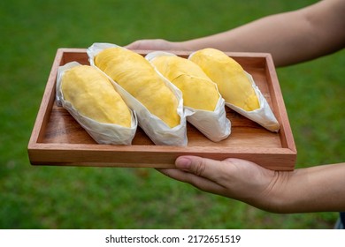 Hand Holding A Tray Of Mon Thong Durian King Of Fruits Ready To Serve, Durian Tropical Fruit.