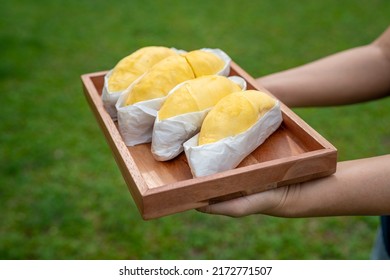 Hand Holding A Tray Of Mon Thong Durian King Of Fruits Ready To Serve, Durian Tropical Fruit.