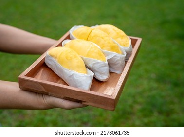 Hand Holding A Tray Of Mon Thong Durian King Of Fruits Ready To Serve, Durian Tropical Fruit.