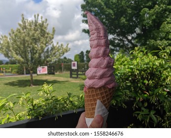 Hand Holding A Twisted Home Made Churned Strawberry Ice Cream Frozen Yogurt Waffle Cone In A Family Farm