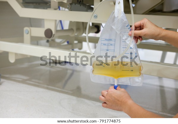Hand Holding Urine Pee Catheter Bag Stock Photo 791774875 | Shutterstock