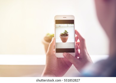 hand holding using mobile phone.girl using smart phone.vintage filter. - Shutterstock ID 551852827
