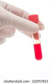 Hand Holding Vial Of Blood On White Background