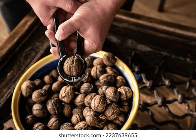 Hand holding walnuts and nutcracker and crack kemels. Deicious nuts for vegetarian heathy diet