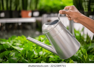 Hand Holding Watering Can In The Natural Background In Garden. Man Waters Vegetable Garden With Watering Can. Concept Of Gardening. Nobody, Blurred, Selective Focus