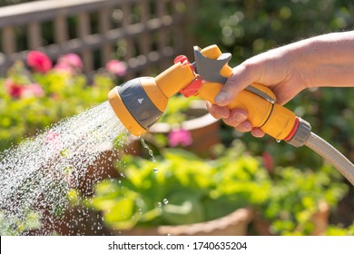 Hand Holding A Watering Hose Spray Gun Watering Plants In A Garden. UK