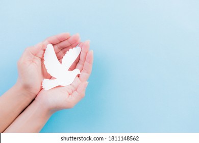 Hand Holding White Dove Bird On Stock Photo 1811148562 | Shutterstock