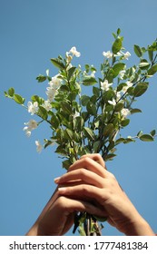 Hand Holding A White Flower Bouquet