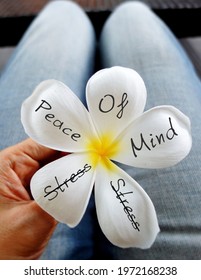 Hand Holding White Flower With Text Written PEACE OF MIND (cross Out STRESS) On Petals , Concept Of Overcome Worry Or Anxious Negative Thoughts And Stress With Peaceful Inner Calm