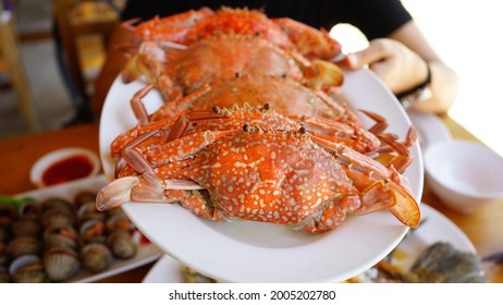 Hand Holding White Plate With Steamed Blue Swimming Crabs, Flower Crab, Blue Crab (Portunus Pelagicus) With Blurred Background Of People Enjoy Eating Seafood At Restaurant Located On The Beach.