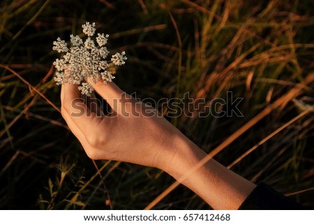 Image, Stock Photo [AM106]