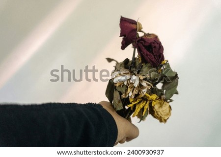 hand holding a wilted flower in the white background 
