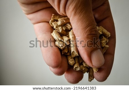 hand holding wood pellets going into the stove, alternative heating energy solution, close up