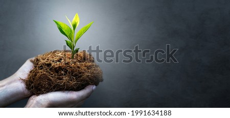 Hand holding young plant at black background. earth day concept.
