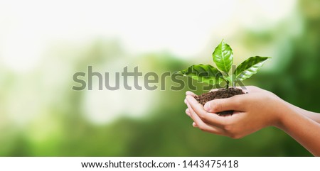 hand holding young plant on blur green nature background. concept eco earth day