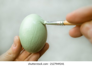 Hand holds brash and paints egg. A process of painting an Easter egg with light green paint. Paint brush in woman's hand on gray background. Tradition and people concept. Spring season, April holiday.