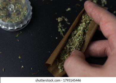 Hand Holds Cannabis In Blunt Roll Paper. Marijuana Medical And Recreational Use Concept. Selfcare With Herbal THC Weed