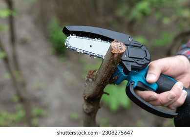 Hand holds light chain saw with battery to trim broken branch of an tree, in sunny day - Powered by Shutterstock