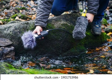 Hand Holds A Microphone Gun To Record Sounds Of Nature. Sound Technician Records Sounds Of Nature. Recording Ambient Sounds