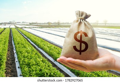 A Hand Holds Out A Dollar Money Bag On A Background Of Potato Plantation Farm Fields. Lending Farmers For Purchase Land And Seed Material, Modernization. Support And Subsidies. 