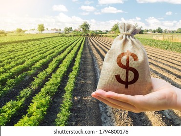 Hand holds out a dollar money bag on a background of a carrot plantation. Support and subsidies. Farm loans. Lending farmers for purchase land and seed material, modernization. Revival of the village.